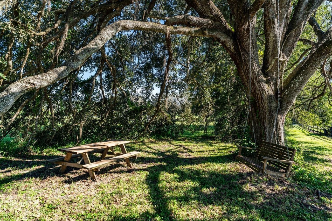 32305 Pasco Road, San Antonio, FL 33576 Photo