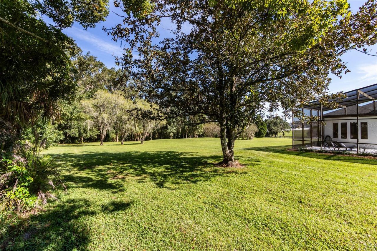 32305 Pasco Road, San Antonio, FL 33576 Photo