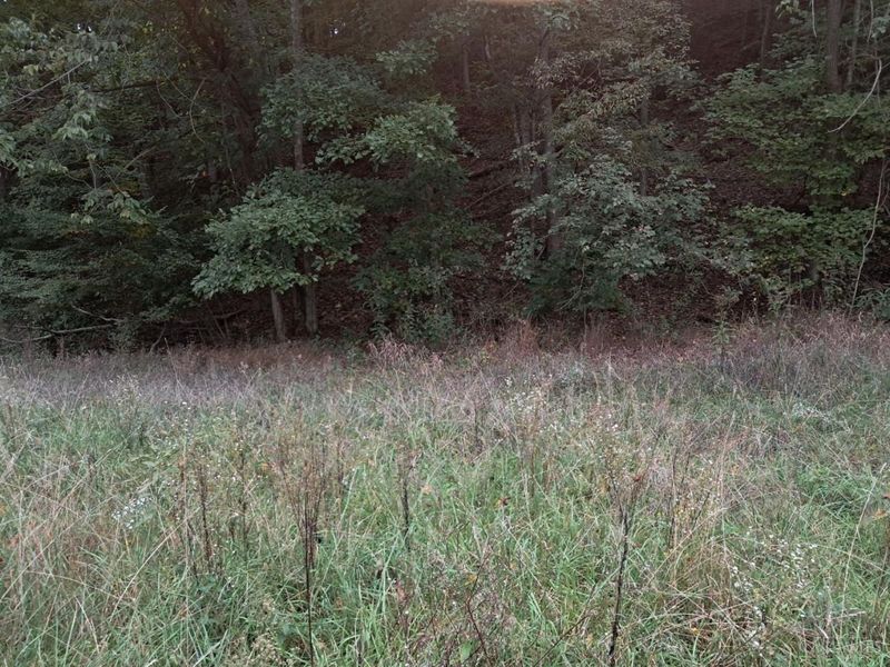 2704 Churn Creek Road, Blue Creek, OH 45616 Photo 3