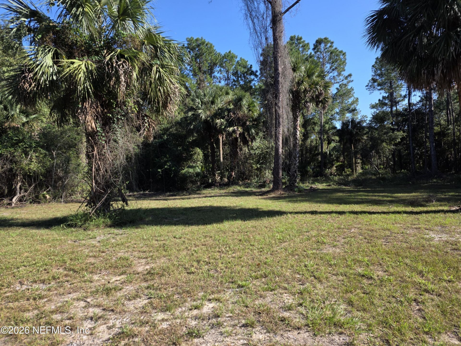 113 Laisy Drive, Georgetown, FL 32139 Photo