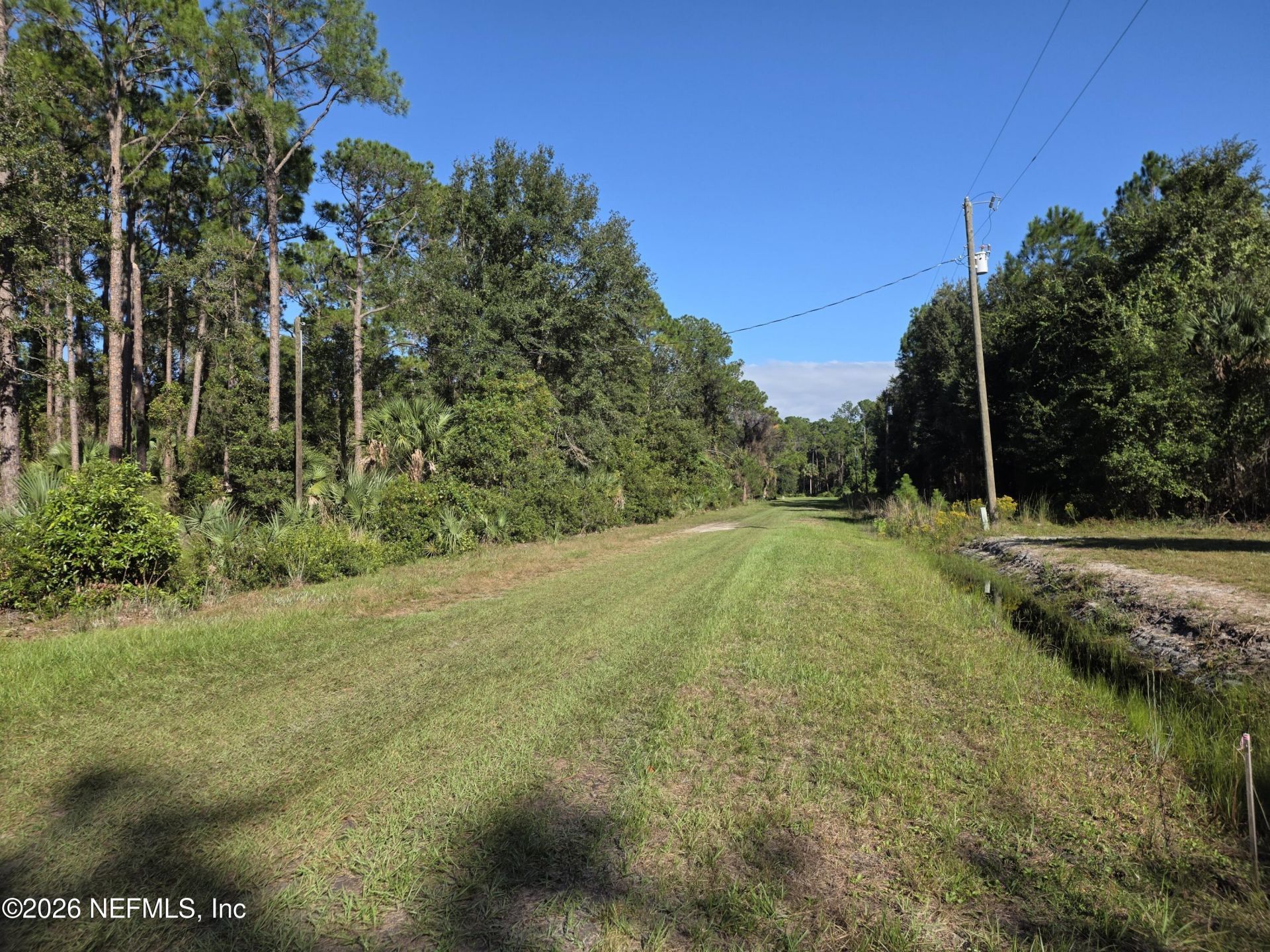 113 Laisy Drive, Georgetown, FL 32139 Photo