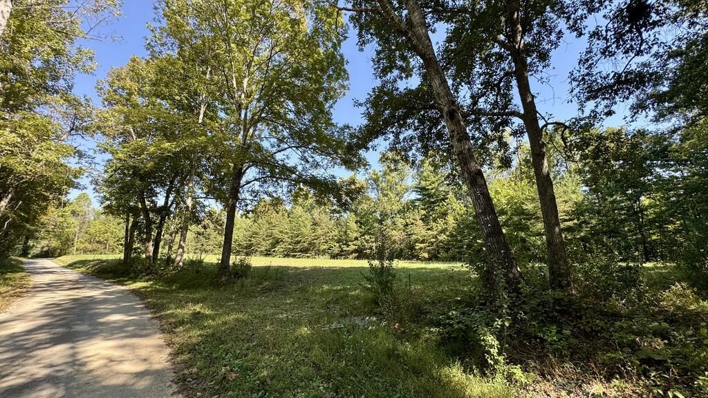 187 High Point Rd., Deer Lodge, TN 37726 Main Photo