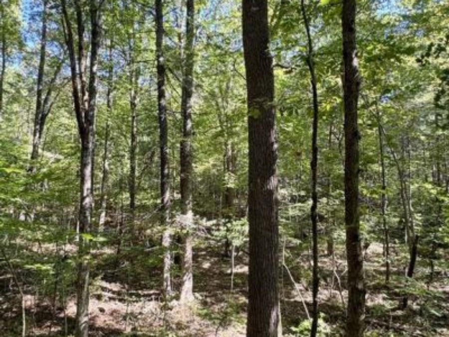 Property Image 18