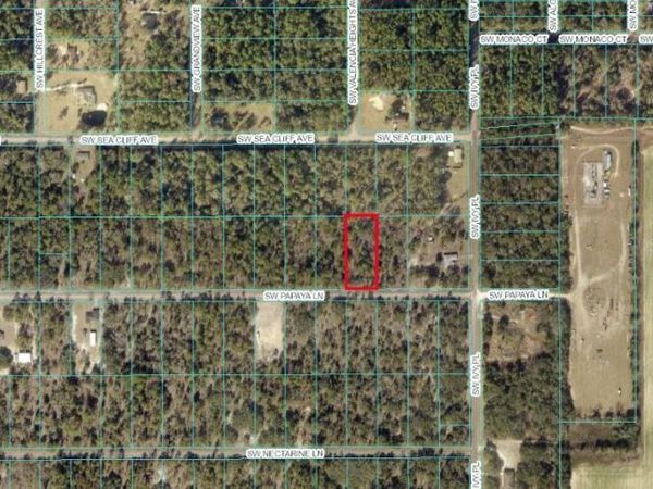 TBD SW PAPAYA LANE , DUNNELLON, FL 34431