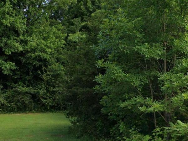 272 Cedar Ridge Drive, Ecru, MS 38841