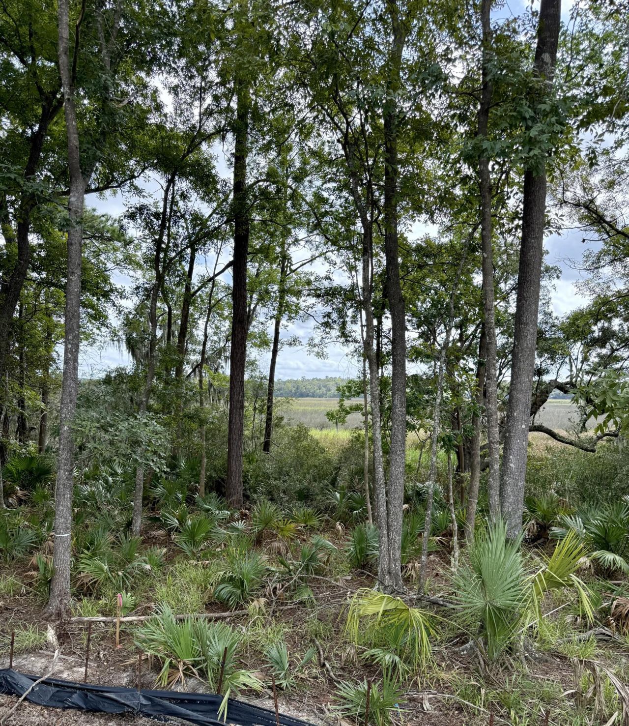 5319 Sawpit Circle Circle Photo 10