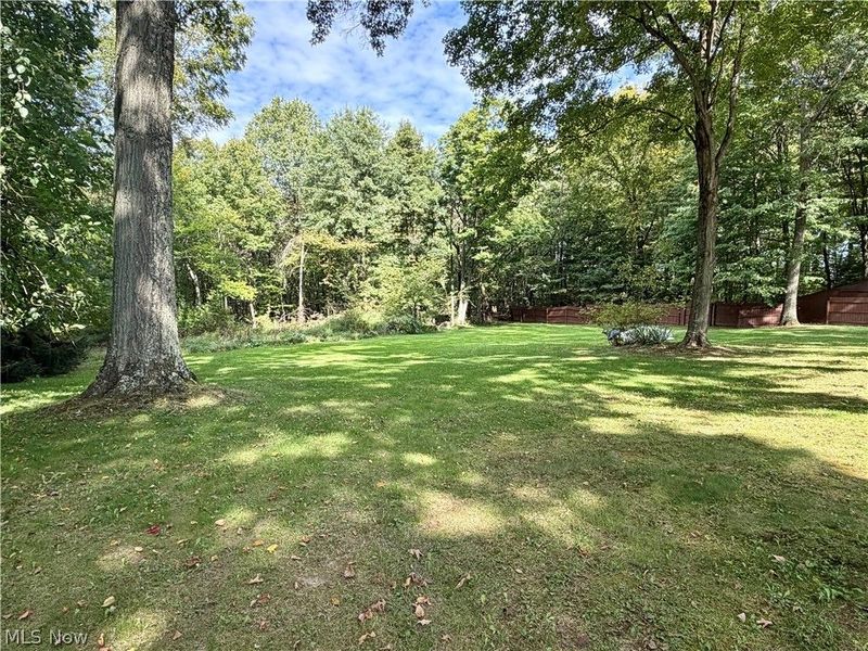 46528 Metz Road, Columbiana, OH 44408 Photo 6