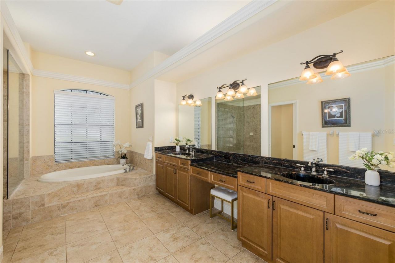 10640 Pontofino Circle, Trinity, FL 34655 Photo