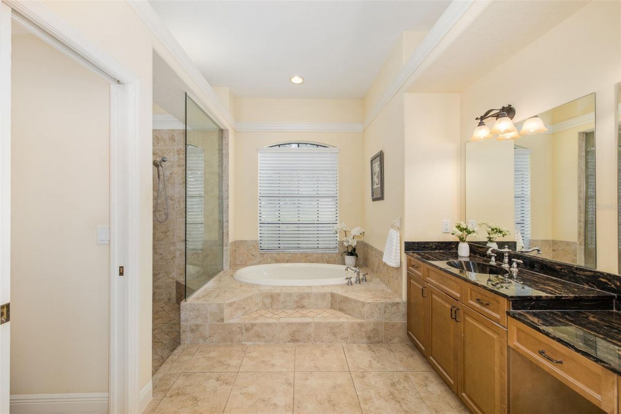 10640 Pontofino Circle, Trinity, FL 34655 Photo