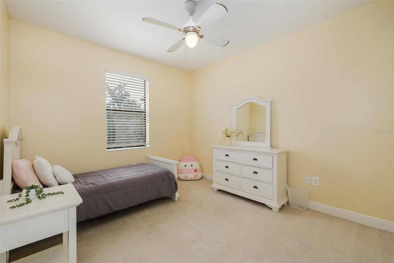10640 Pontofino Circle, Trinity, FL 34655 Photo