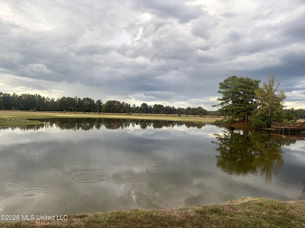 1310 Jones Loop, Terry, MS 39170