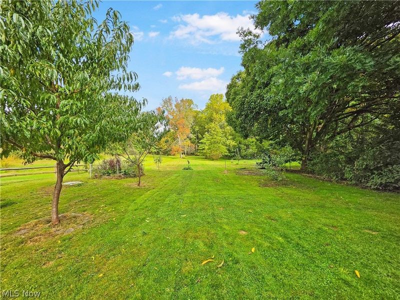 4605 New London Road, Saybrook, OH 44004 Photo 29