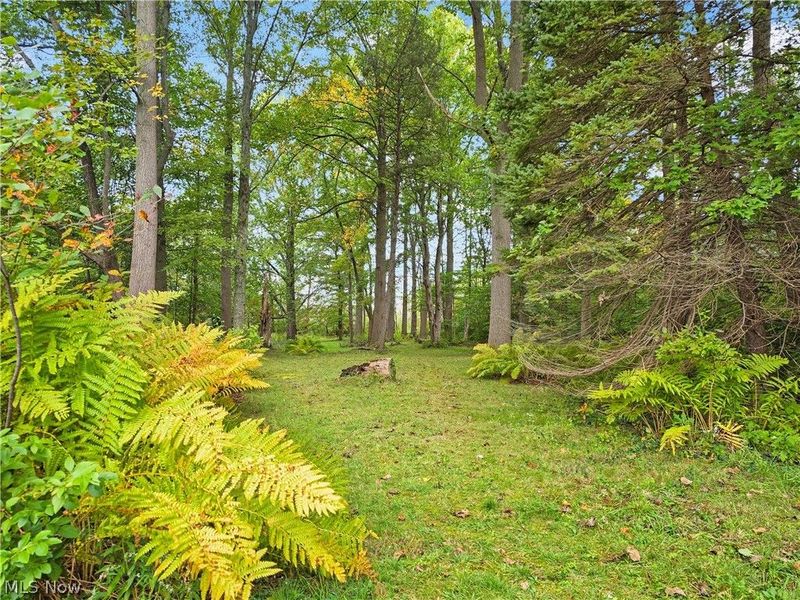 4605 New London Road, Saybrook, OH 44004 Photo 31