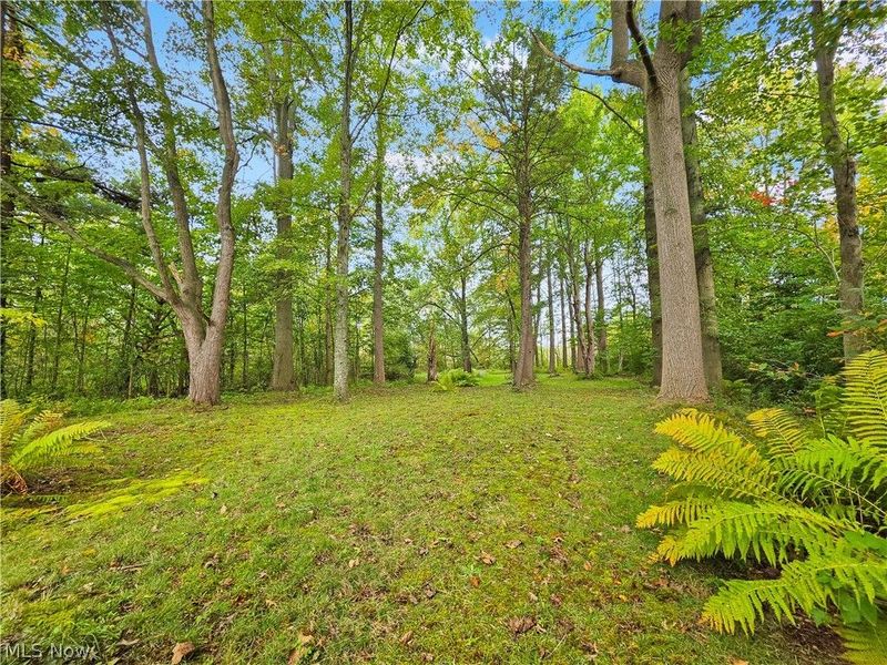 4605 New London Road, Saybrook, OH 44004 Photo 33