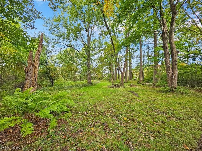 4605 New London Road, Saybrook, OH 44004 Photo 34