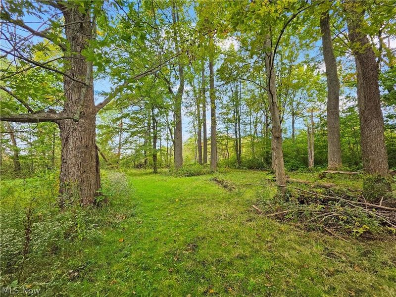 4605 New London Road, Saybrook, OH 44004 Photo 35