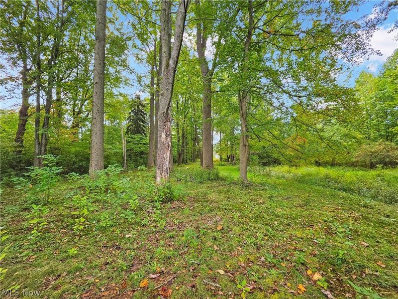 4605 New London Road, Saybrook, OH 44004 Photo 36