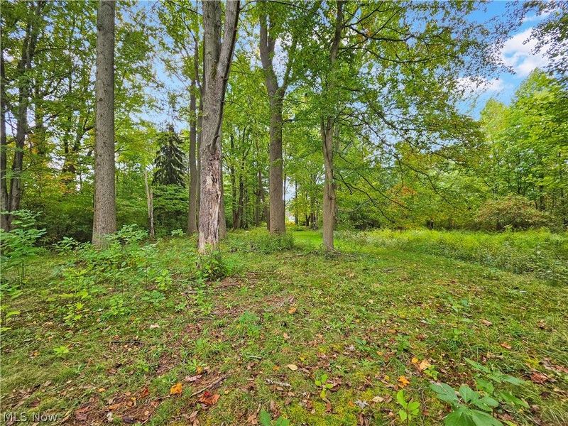 4605 New London Road, Saybrook, OH 44004 Photo 37