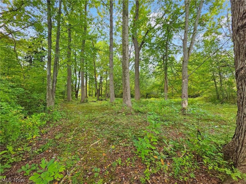4605 New London Road, Saybrook, OH 44004 Photo 38