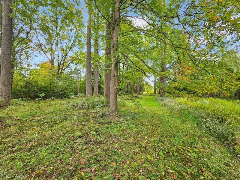 4605 New London Road, Saybrook, OH 44004 Photo 39