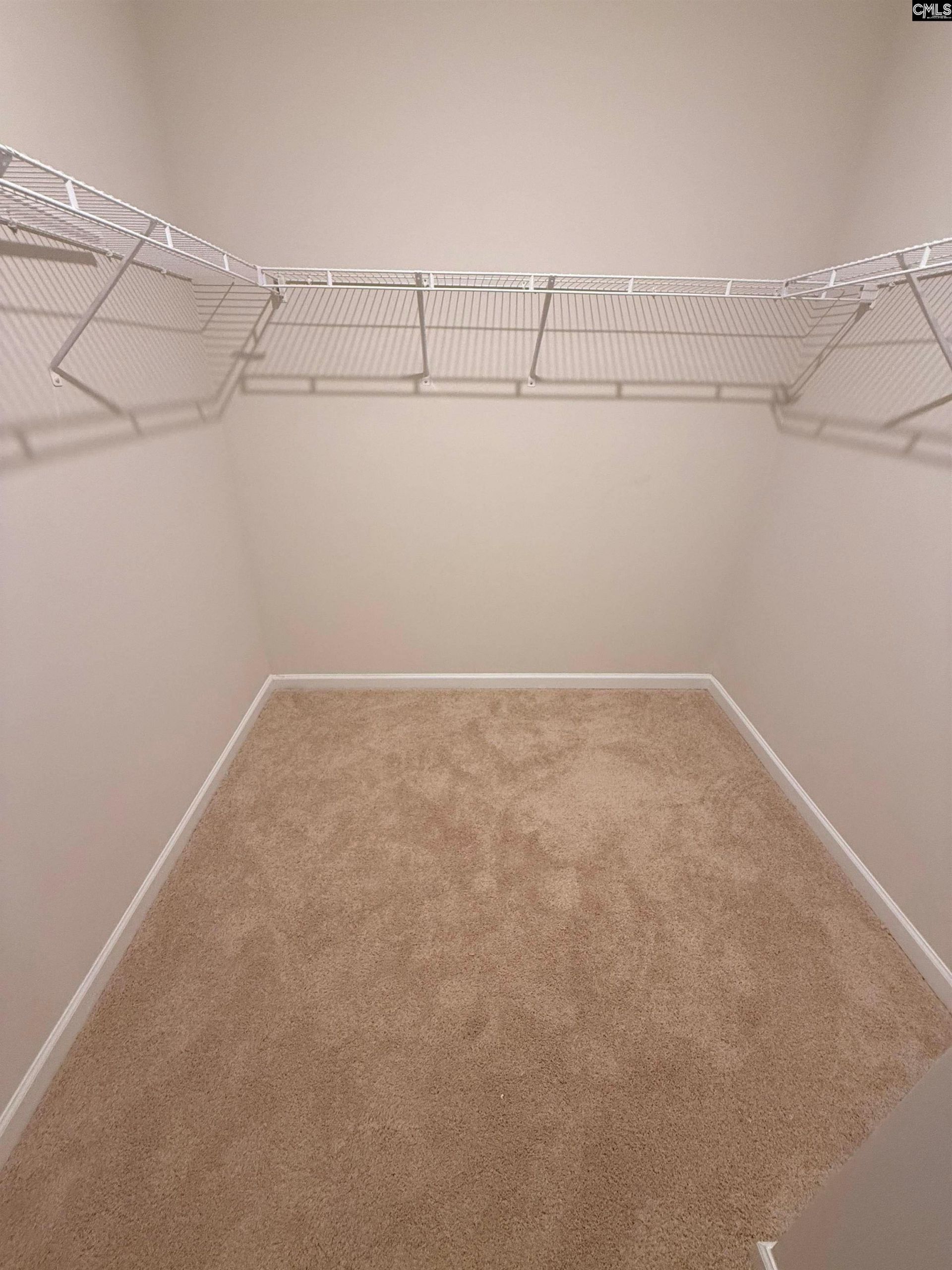 509 Leathertree Lane  Photo 11