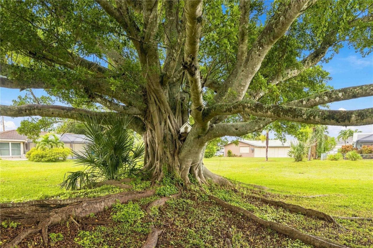 2903 Roma Court , Punta Gorda, FL 33950 Photo