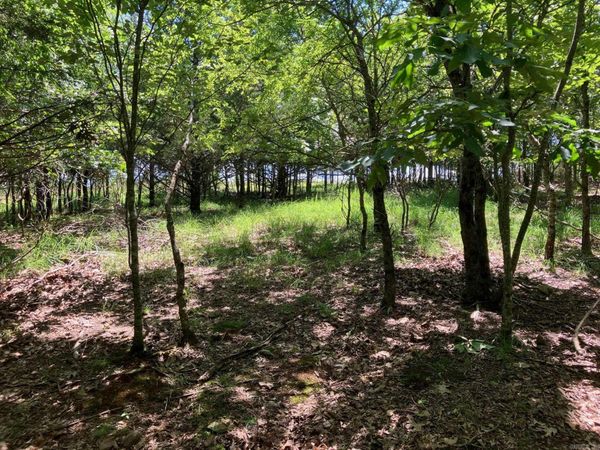 TBD 3 AC Thompson Creek Lane Lane , Mena, AR 71953