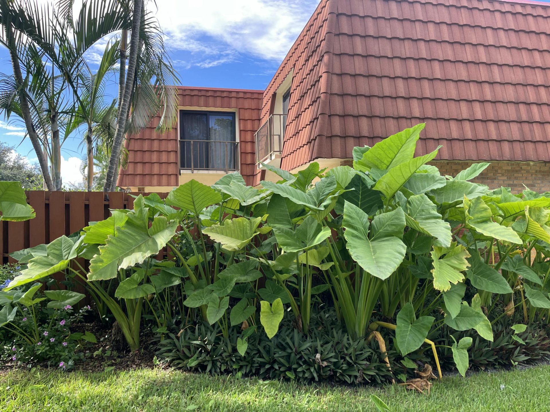 3008 San Clara Drive, Delray Beach, FL 33445 Photo