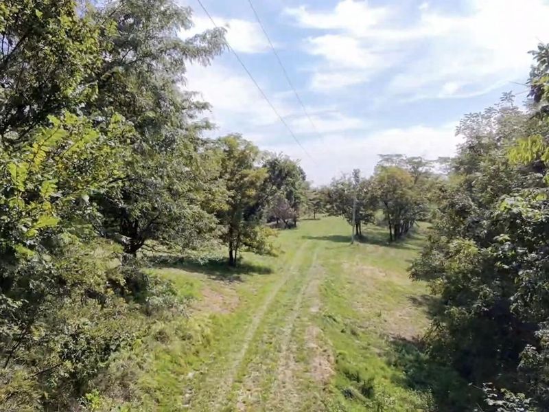 0 Wagner Lane, Berry, KY 41003 Photo 3