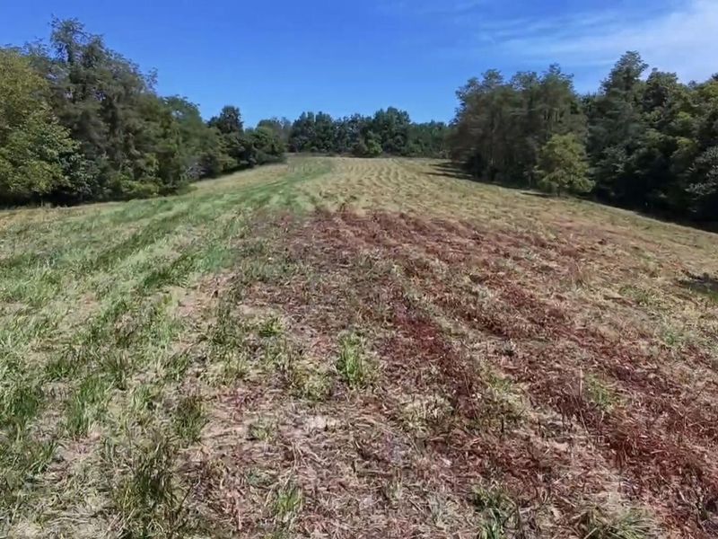 0 Wagner Lane, Berry, KY 41003 Photo 7