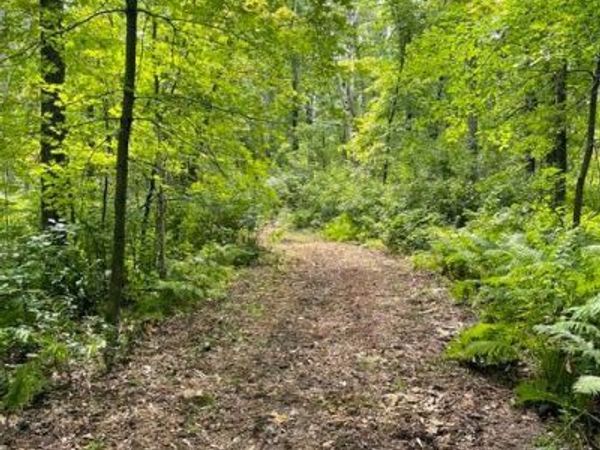TBD Lacy Lane SW, Pequot Lakes, MN 56472