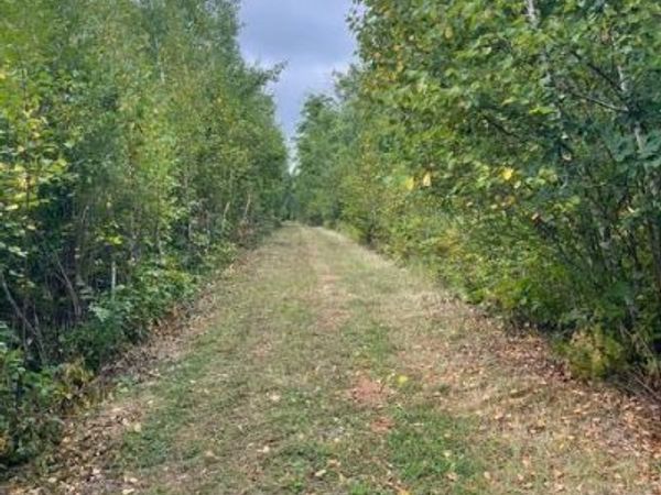 TBD Lacy Lane SW, Pequot Lakes, MN 56472