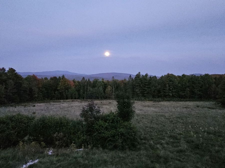 Property Image 51