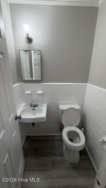 419 Audey Drive Photo 14
