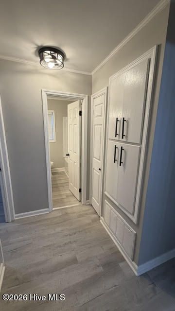 419 Audey Drive Photo 18