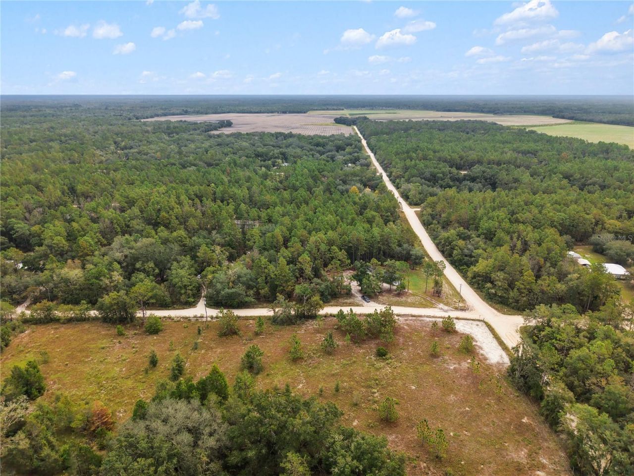 6038 NW 17th Court , Bell, FL 32619 Photo
