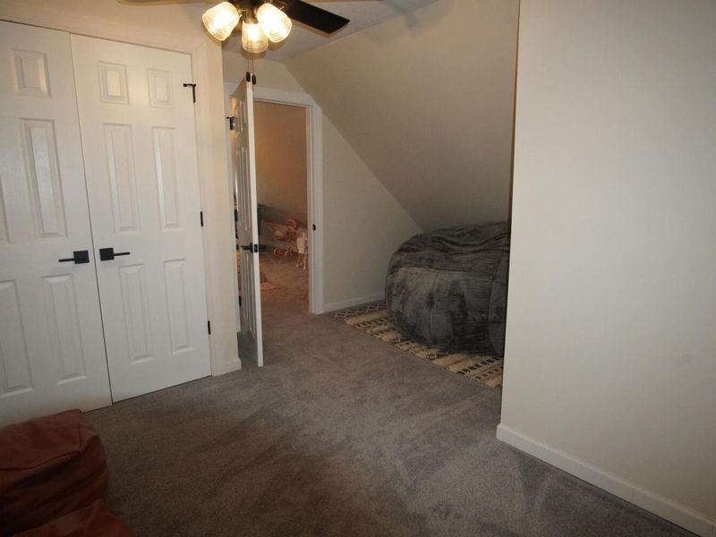 210 E Mechanic Street, Wapakoneta, OH 45895 Photo 49