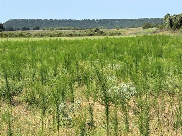 tbd keller , Mineral Wells, TX 76067