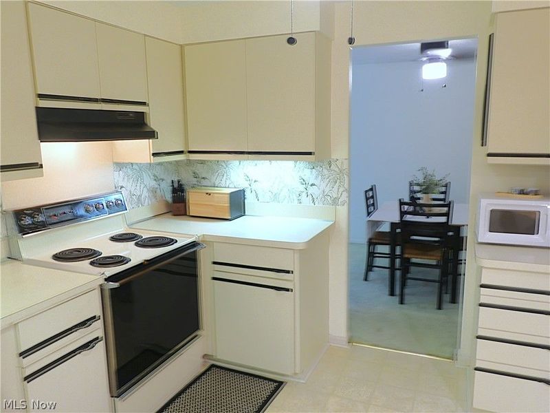 2021 King James Parkway, Unit 222, Westlake, OH 44145 Photo 6