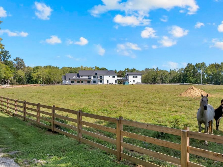 Property Image 94