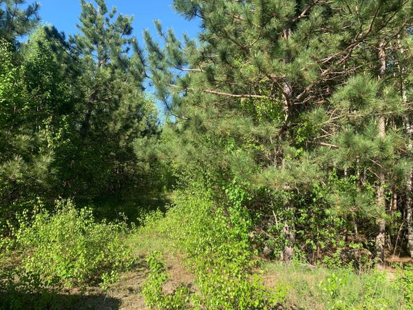 Lot 24 Grand View Drive , Dedham, ME 04429