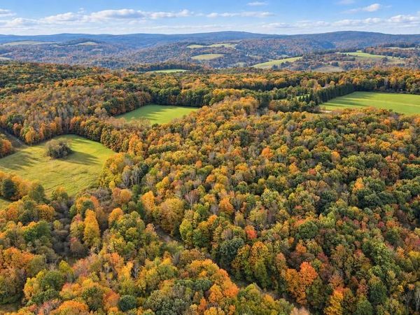 163.12 Acres BITTINGER ROAD , GRANTSVILLE, MD 21536