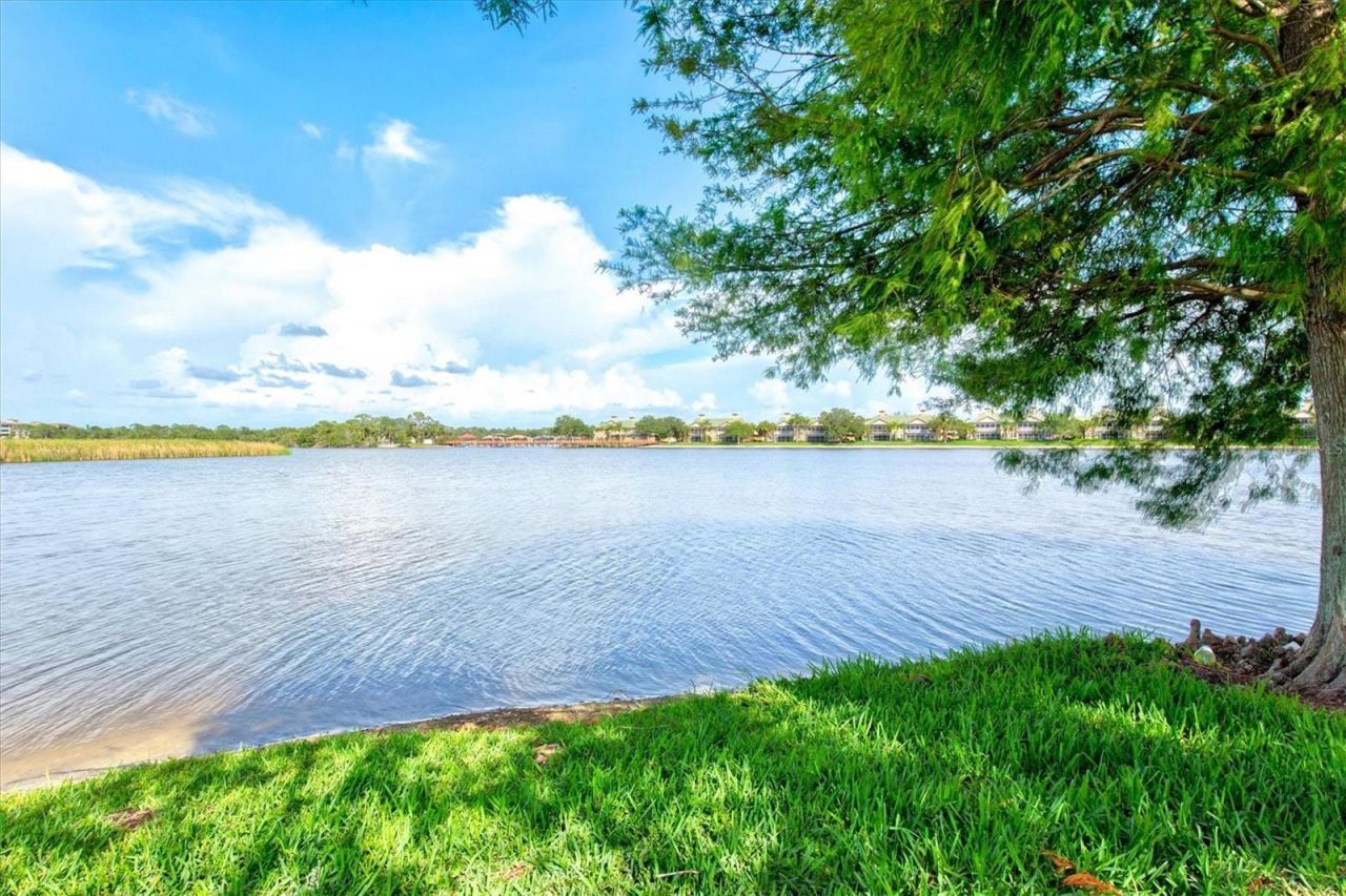 3031 Sky Blue Cove , Bradenton, FL 34211 Photo
