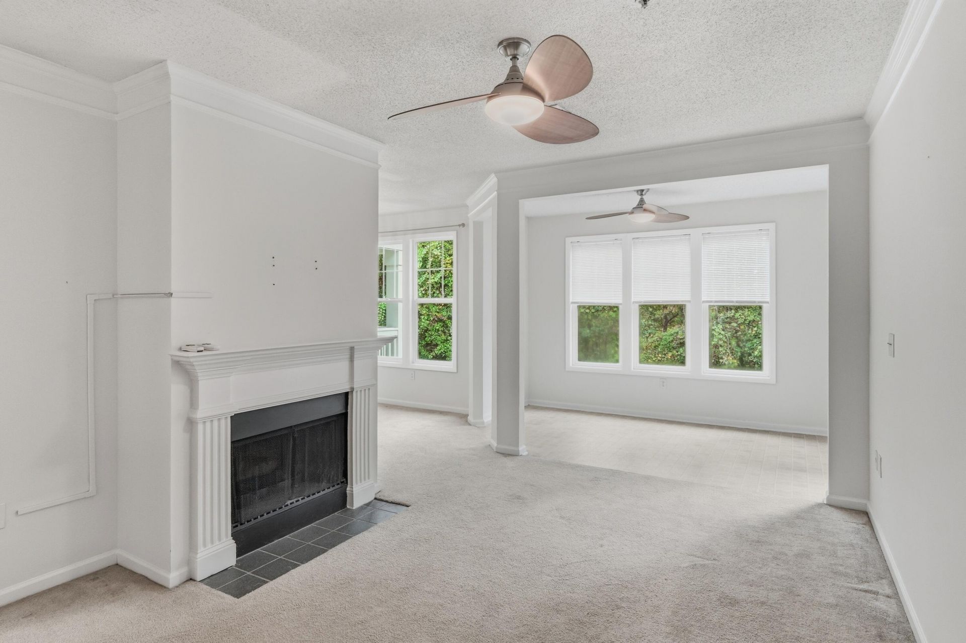 1933 Chatelain Way Photo 20