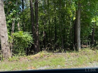 0 Fields Avenue, Blue Ridge, VA 24064