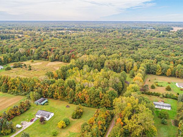 10616 Heavens Gate Road, Augusta Township, Mi 48191
