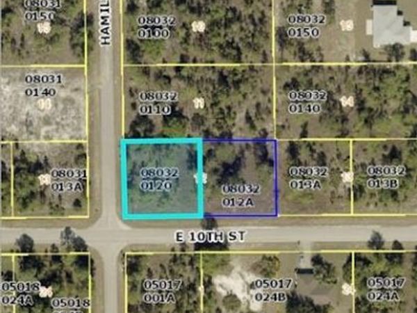 3001 & 3003 E 10th ST , LEHIGH ACRES, FL 33972
