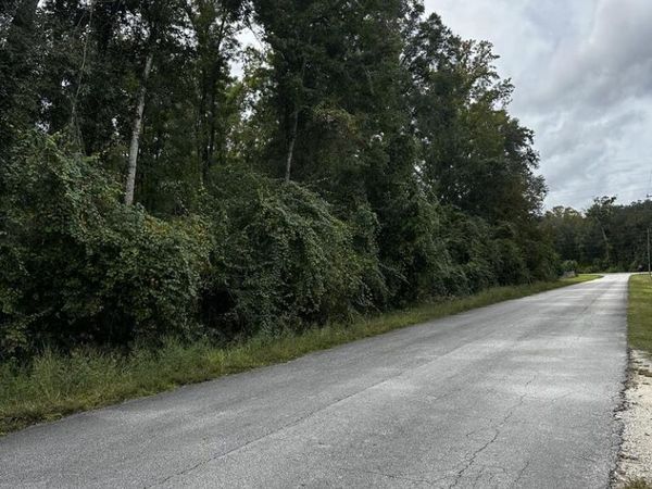 0 NE 303rd Ave, Old Town, FL 32680