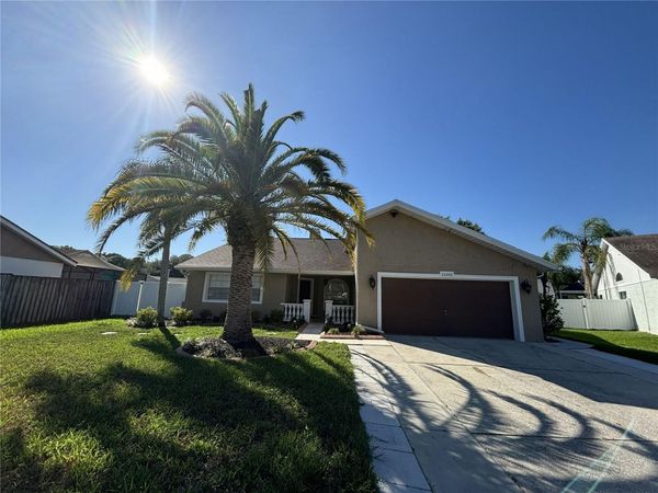 12005 MISTY BROOK COURT , TAMPA, FL 33635