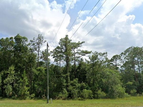 20106 E COLONIAL DRIVE , CHRISTMAS, FL 32709